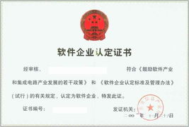 广州软件企业认定 全面解读与专业认证咨询服务指南